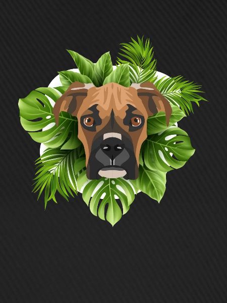 Tropical Deutscher Boxer
