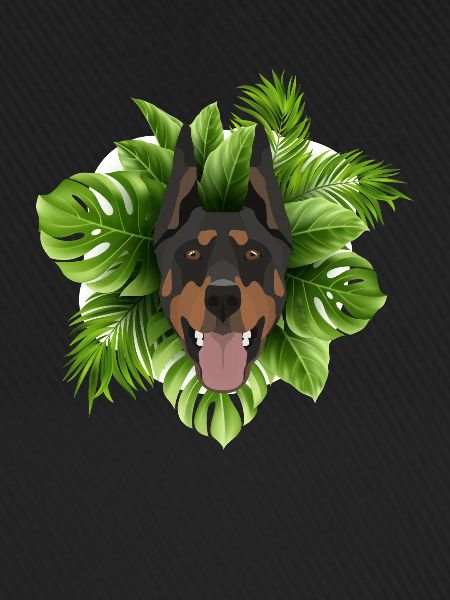 Tropical Dobermann