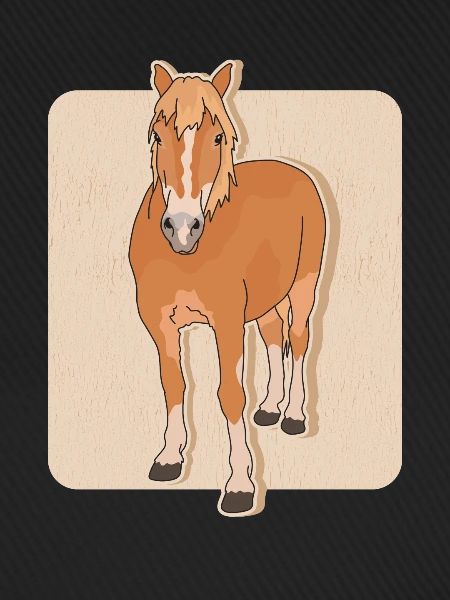 Haflinger Pferde Haffi Pferdebesitzer Geschenk