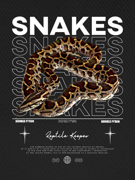 Burmesische Python Moderne Streetwear Reptilienhalterin
