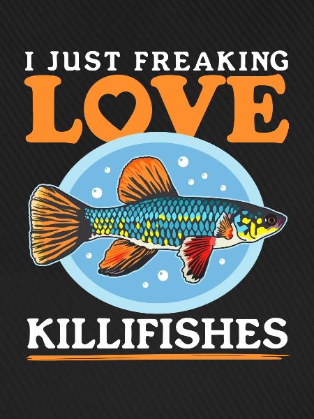 Killifish Eierlegende Zahnkarpfen Fische Geschenk