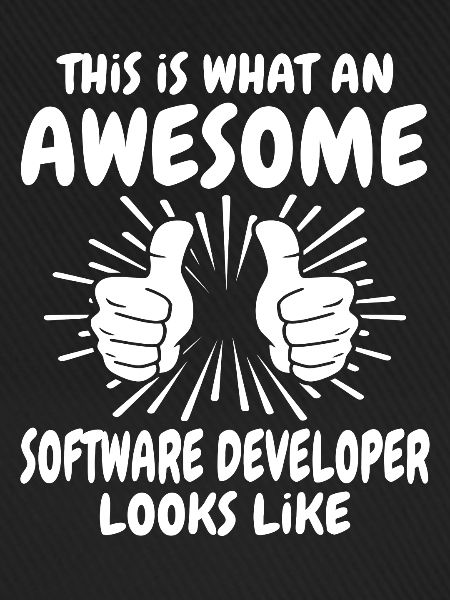Software Entwickler