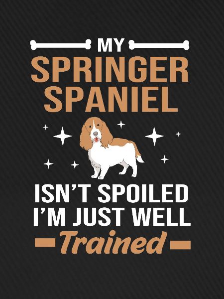 Springer Spaniel