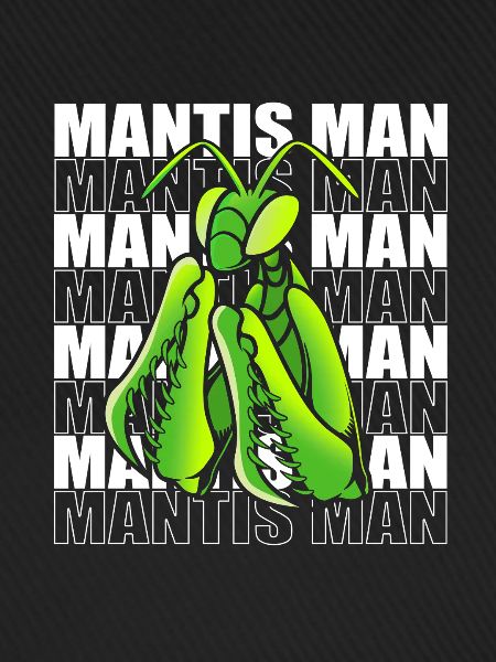 Gottesanbeter Gottesanbeterin Mantis