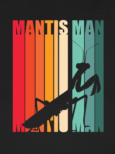 Mantis Gottesanbeter Gottesanbeterin