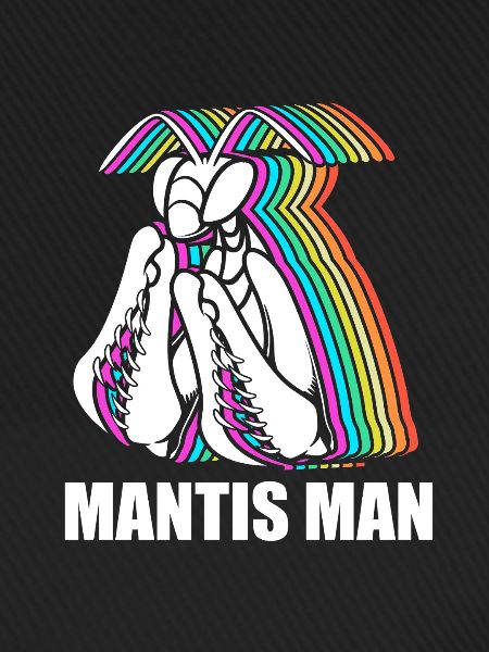 Gottesanbeter Gottesanbeterin Mantis