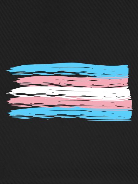 trans Prideflagge