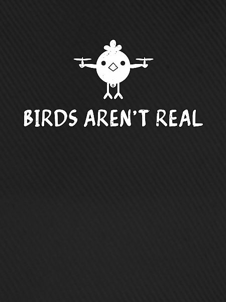 Birds Aren´t Real