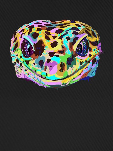 Farbiger Leopard Gecko