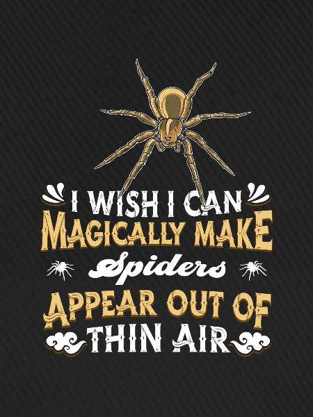 Spinne Haustier