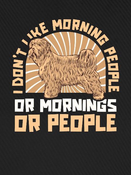 Wheaten Terrier Hund