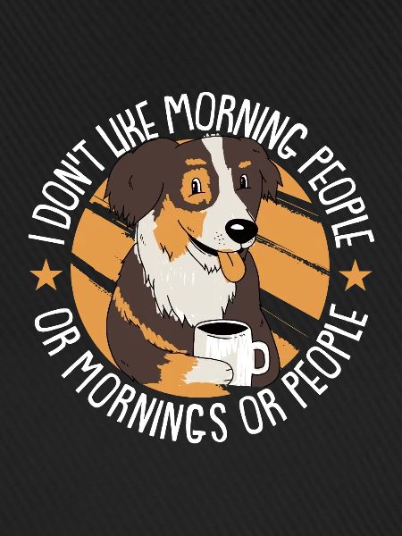 Australian Shepherd Hund