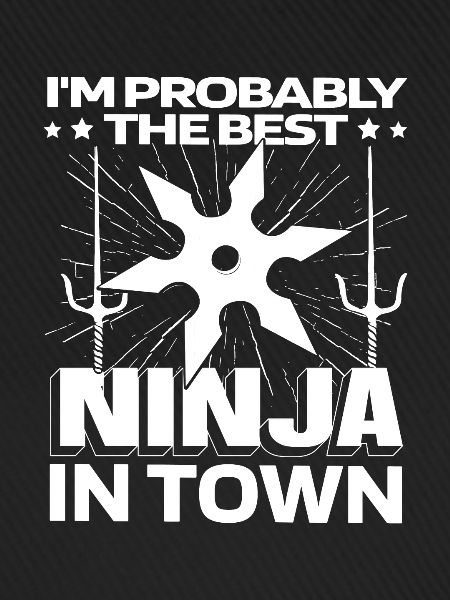Ninja Ninja Stern
