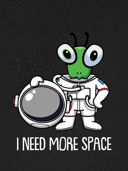 Mantis Gottesanbeterin Astronaut