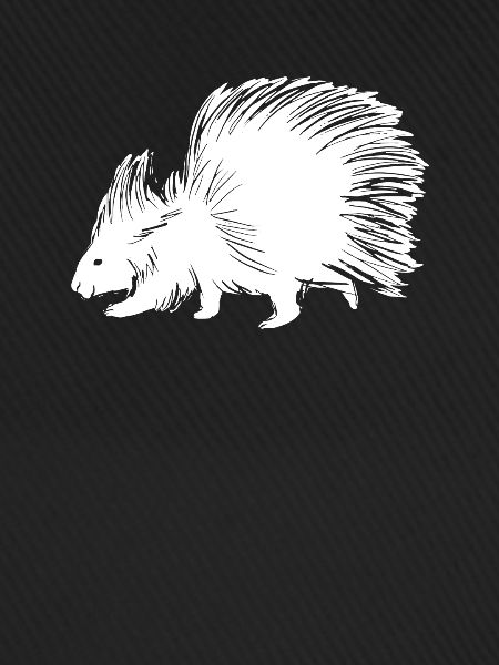 Stachelschwein