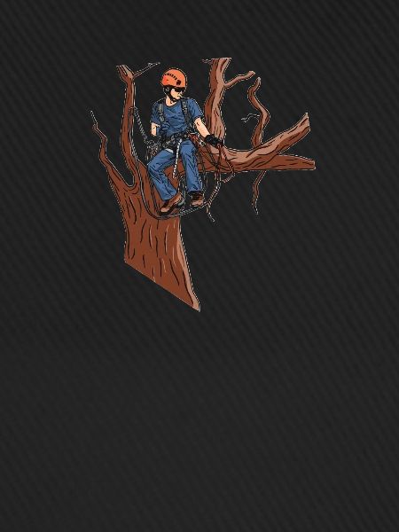 Baumpfleger Baumkletterer Arborist Baumklettern