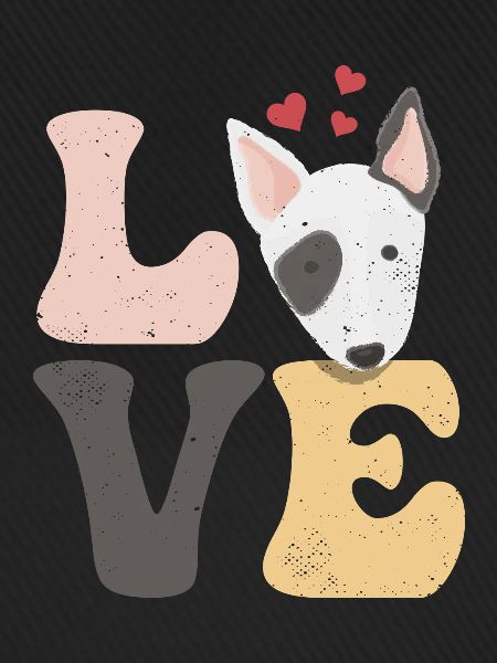 Bull Terrier Hund