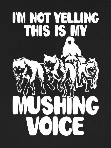 Mushing Hundeschlittenfahrt Musher