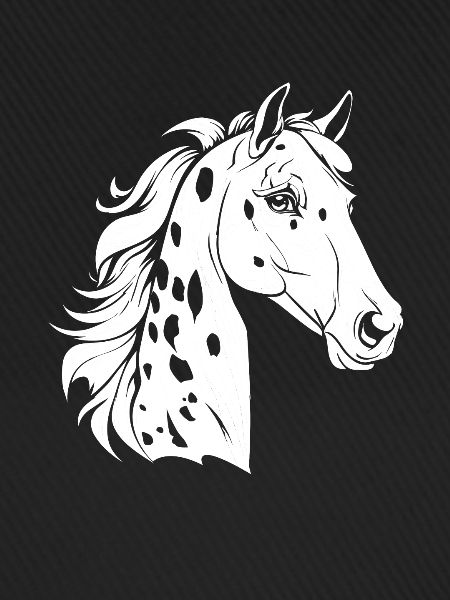 Pferd Reitsport