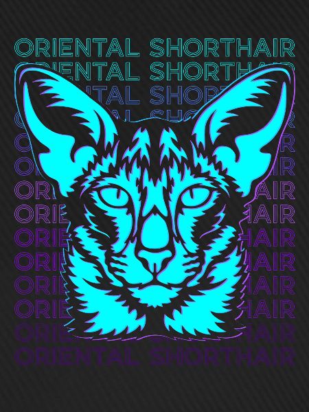 Orientalisch Kurzhaar Katze Retro