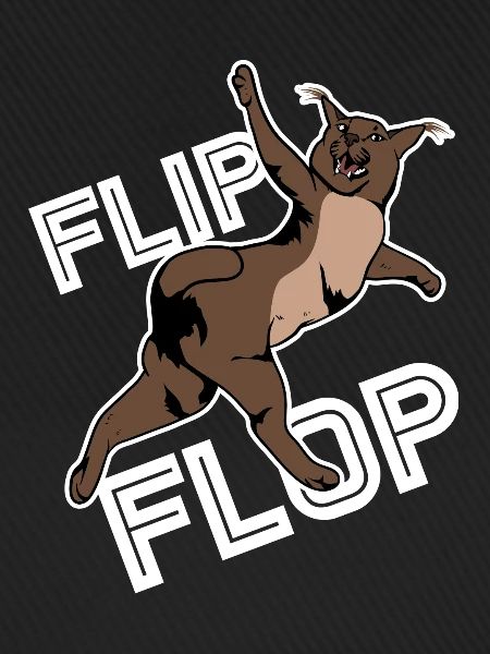 Großer Floppa Karakal Katze Meme