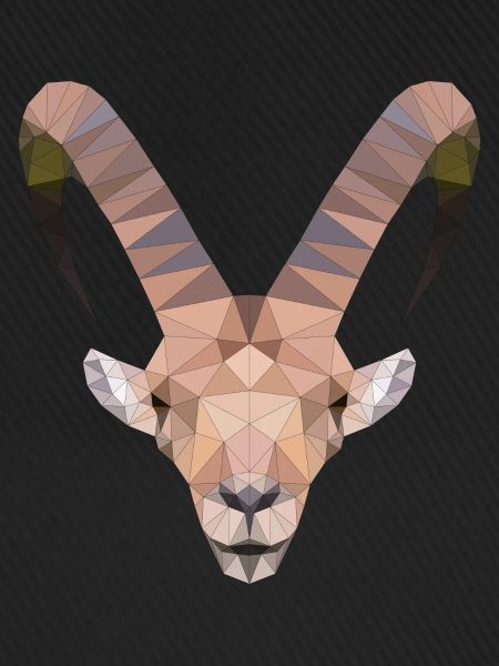 Alpen Steinbock