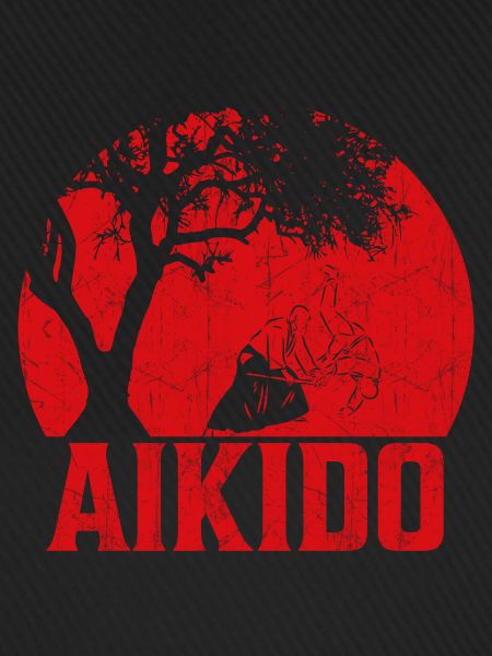 Aikido