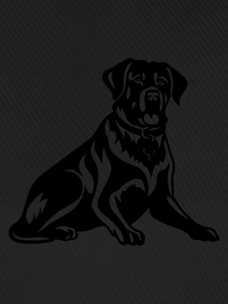 Rottweiler Hund
