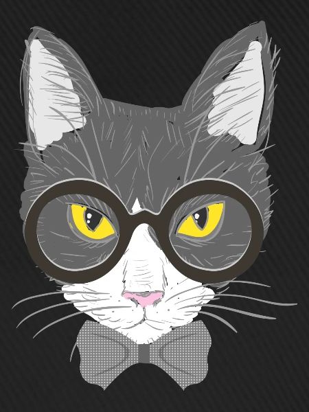 Katzengesicht