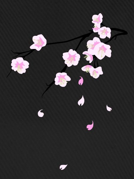 Cherry Blossoms