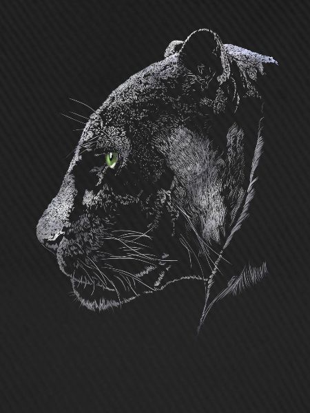 Panther
