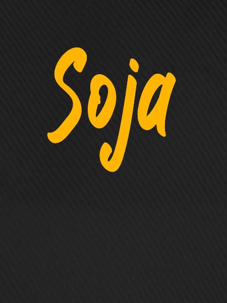 Soja Geschenk Geschenkidee Veggie Vegetarier