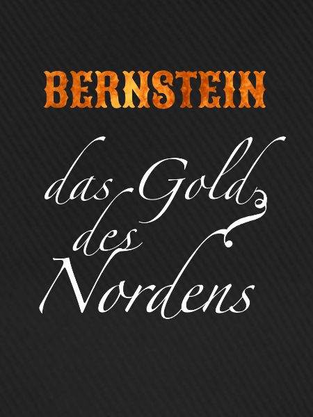 Bernstein Bernsteinsammler Geschenk