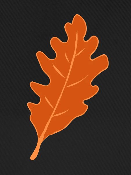 Eiche - Eichenblatt - Herbst