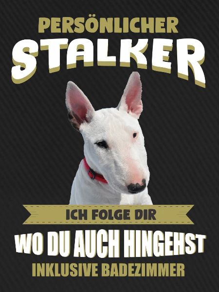 Bullterrier Hund - Bullterrier