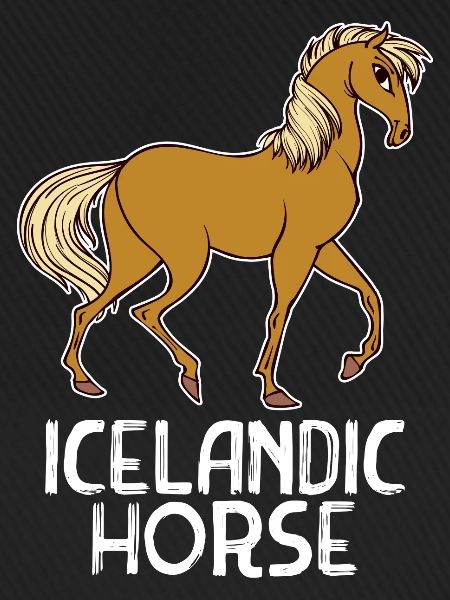 Haflinger Pferde Pferdenarr Statement Islandpferde