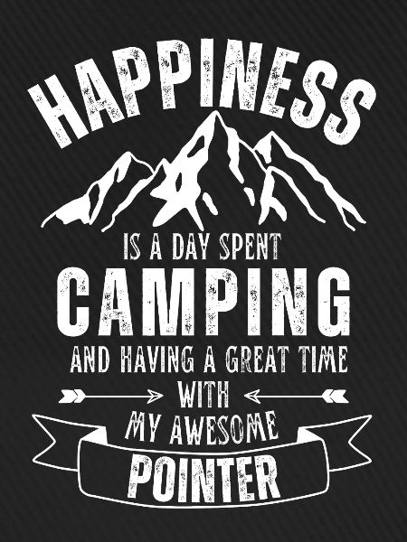 Camping und Pointer