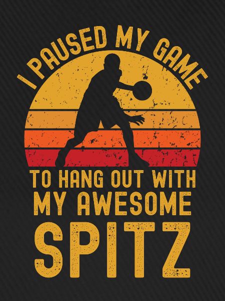 Basketball und Spitz