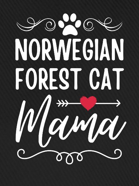Norwegische Waldkatze Mama