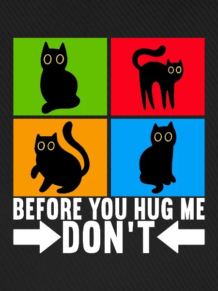 Katzen Misanthrop Sarkasmus