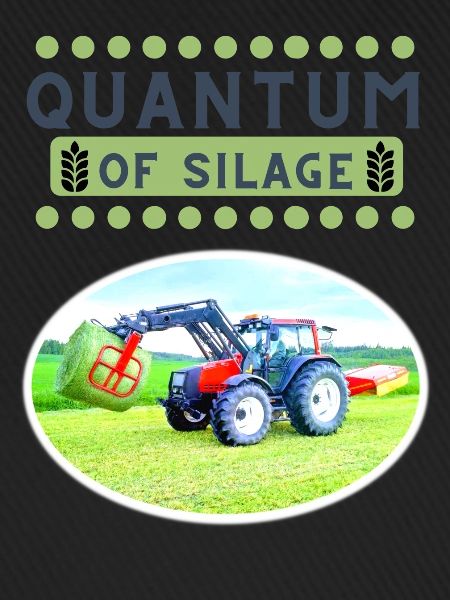 QUANTUM of Silage