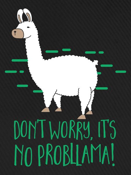 No Probllama