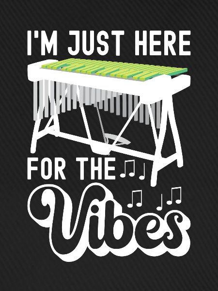 Vibraphon Vibraphonist