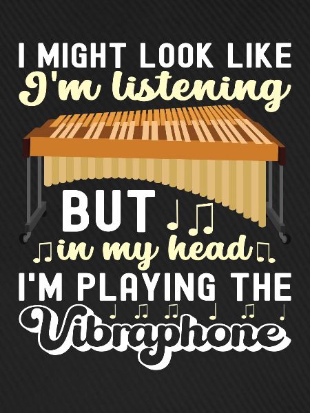 Vibraphon Vibraphonist
