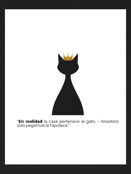 Gato Rey und seine Hypothek