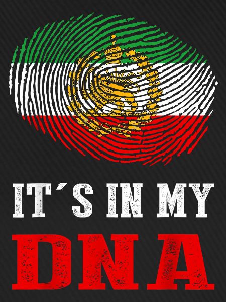 DNA Iran Flagge
