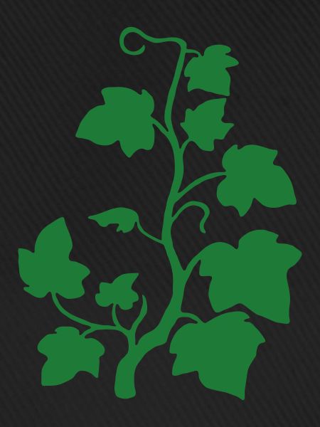 Efeu_blumen
