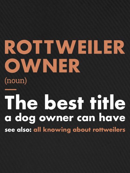 Rottweiler Owner Definition