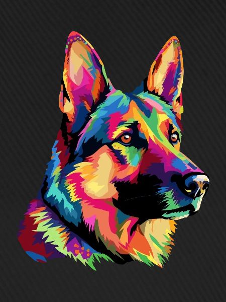 Deutscher Schäferhund Bunt