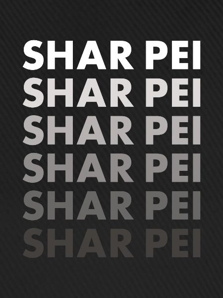 Shar Pei